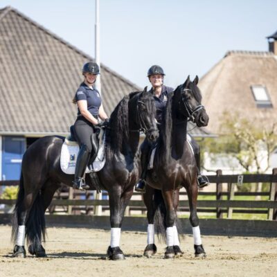 Sander - Afbeelding 2