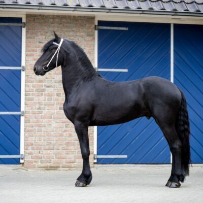 Wouter - Afbeelding 5