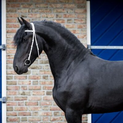 Wouter - Afbeelding 3