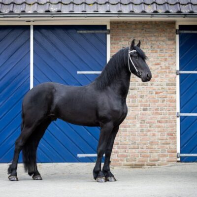 Wouter - Afbeelding 2