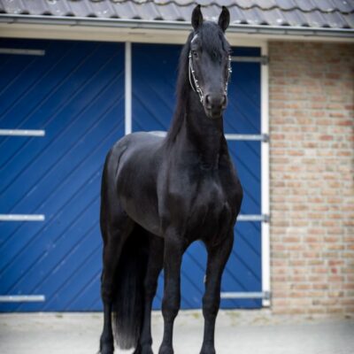 Wouter - Afbeelding 4