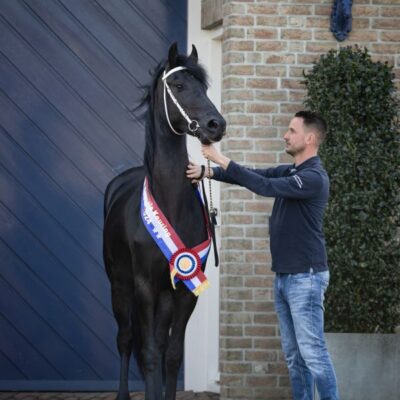 Tessa Ster - Afbeelding 3